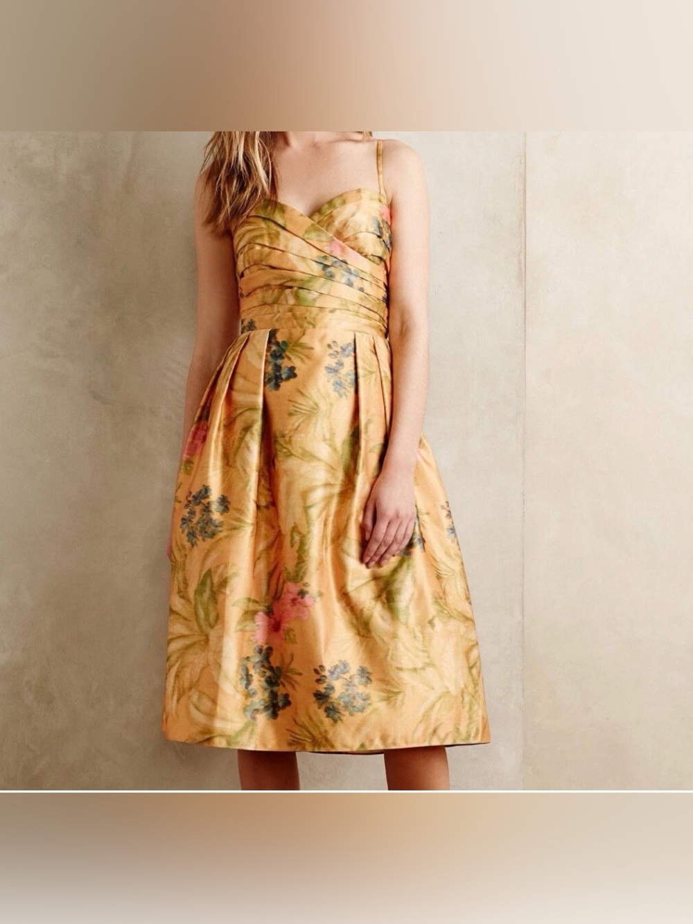 Anthropologie By James Caviello Botanical Flower Dress Fully Lined Sz 6
